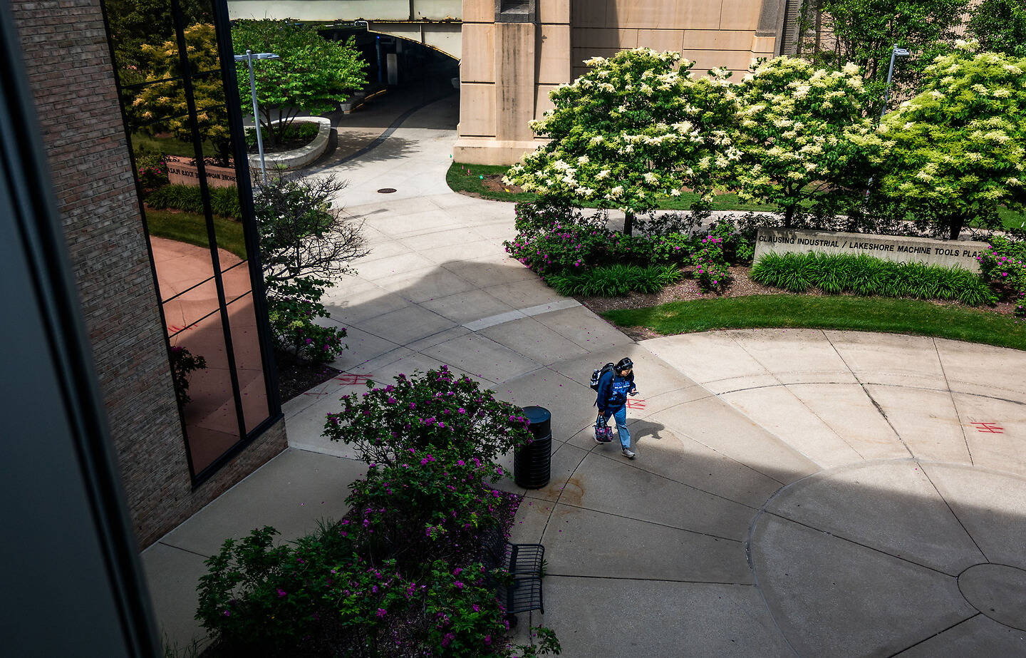 A person walks across a sunlit paved courtyard surrounded by flowering bushes and modern buildings.